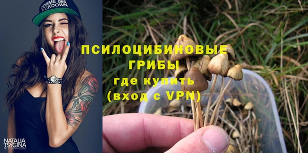 mix Осинники