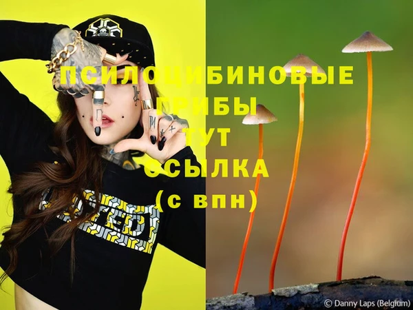 мяу мяу кристалл Переславль-Залесский