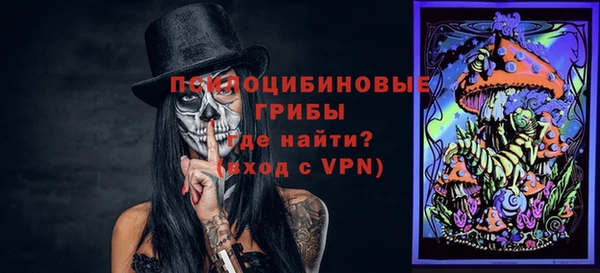 прущая мука Пересвет