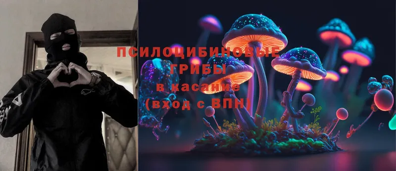 Галлюциногенные грибы Psilocybine cubensis  Бабушкин 