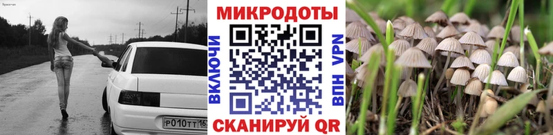 MEGA tor  Бабушкин  Псилоцибиновые грибы мицелий 
